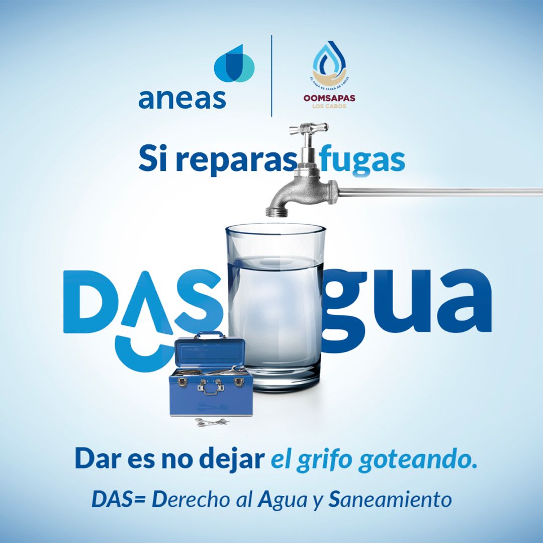 dasagua6