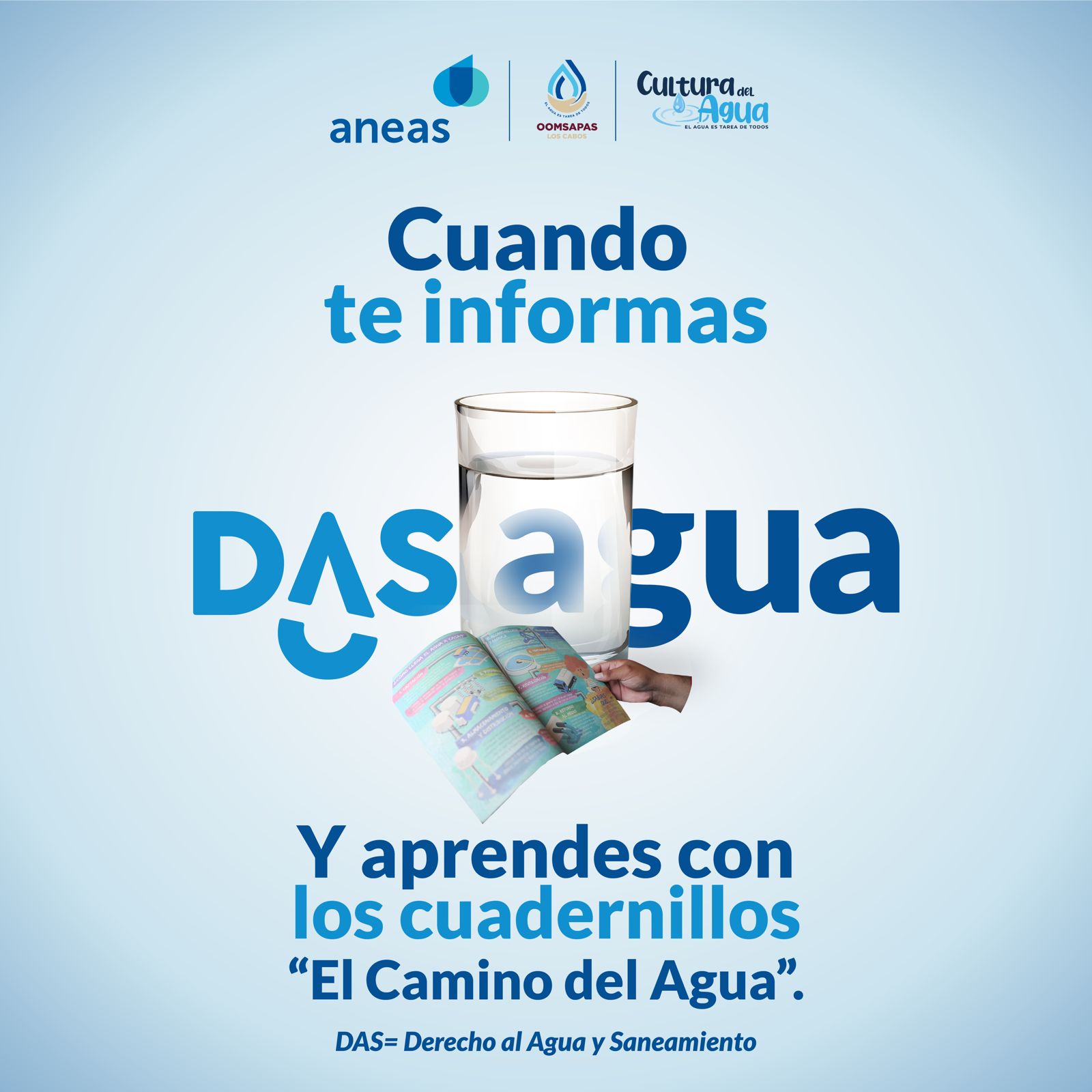 dasagua7